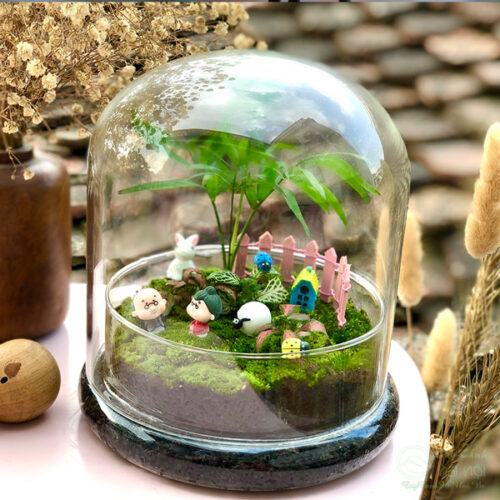 Terrarium kín decor quán cà phê