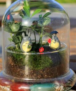 Tiểu cảnh terrarium kín