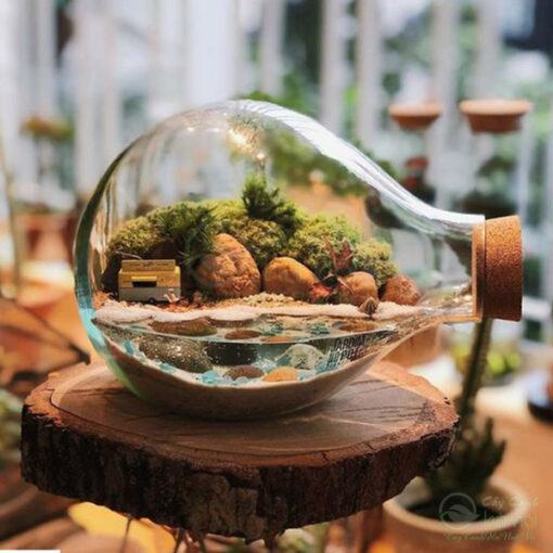 Terrarium trồng bình kín đẹp