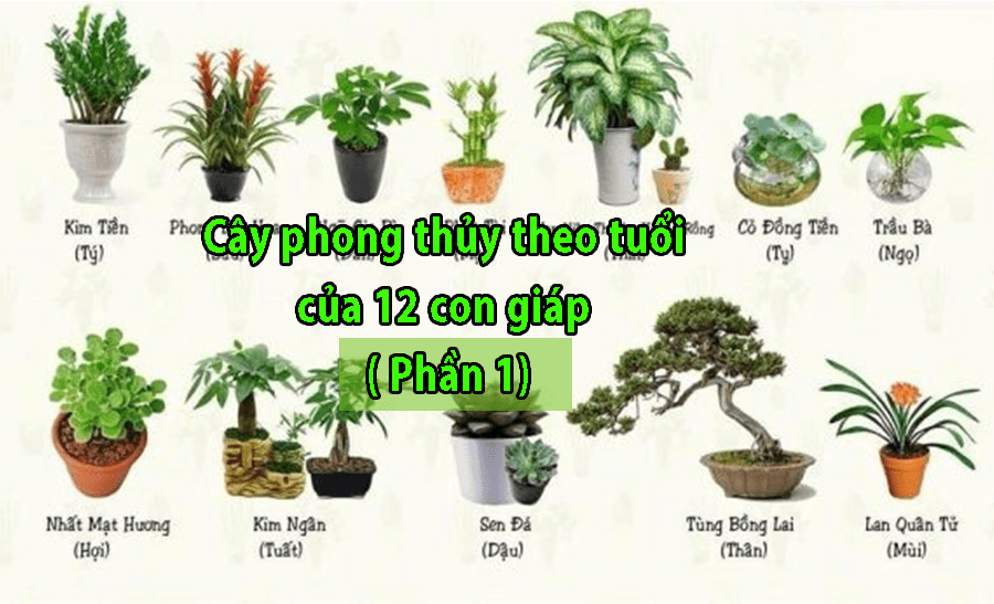 Cây phong thủy theo tuổi của 12 con giáp - Phần 1