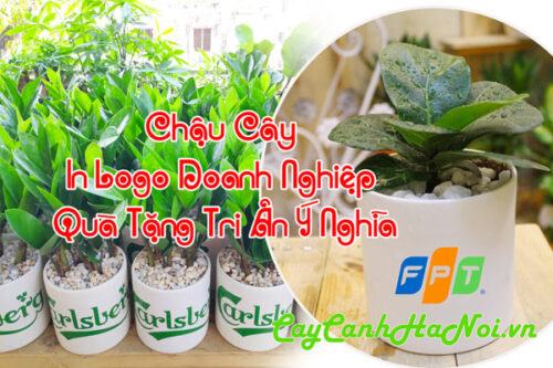 Chậu cây in logo doanh nghiệp