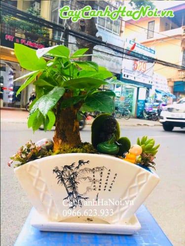 Tiểu cảnh kim ngân tặng khai trương