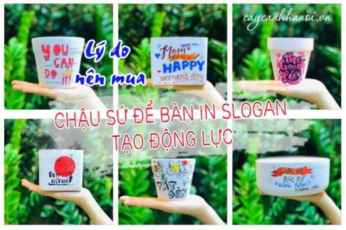 Chậu sứ để bàn in slogan tạo động lực