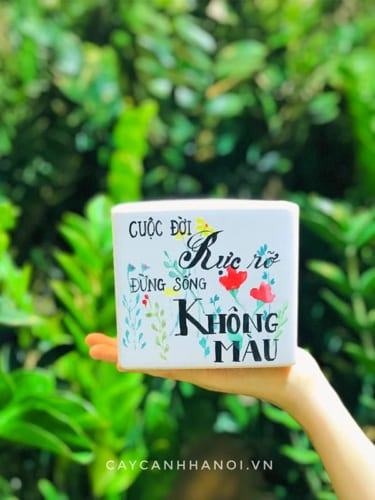 Chậu sứ in slogan "Cuộc đời rực rỡ đừng sống không màu"