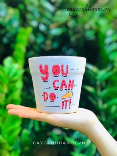 Chậu sứ in slogan "you can do"