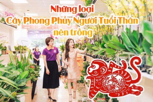 Cây phong thủy phù hợp với người tuổi Thân