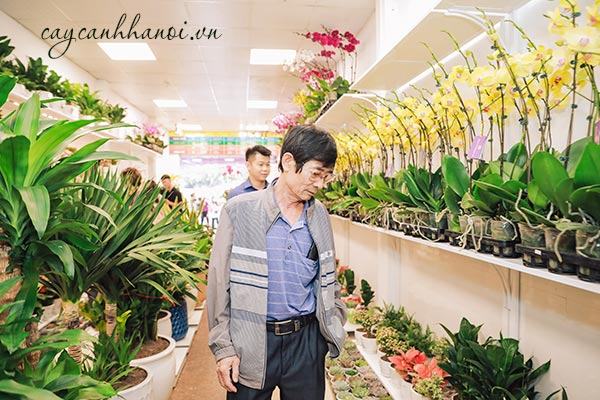 Mua cây cảnh làm quà tặng