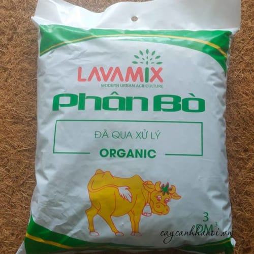 Phân bò đã qua xử lý Lavamix