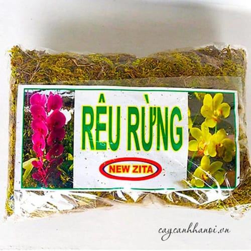 Rêu rừng New Zita