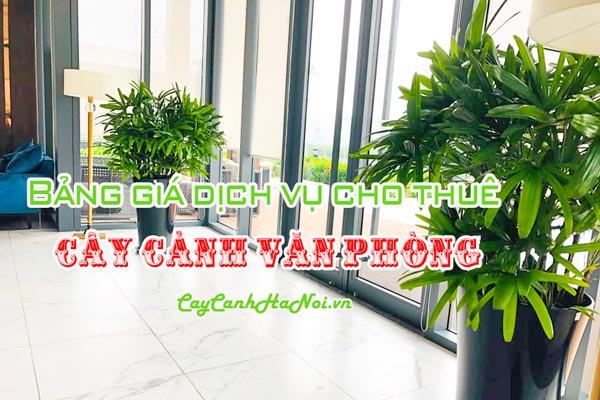 Báo giá dịch vụ cho thuê cây cảnh văn phòng