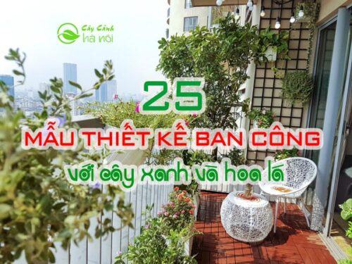 25 mẫu thiết kế ban công với cây xanh và hoa lá