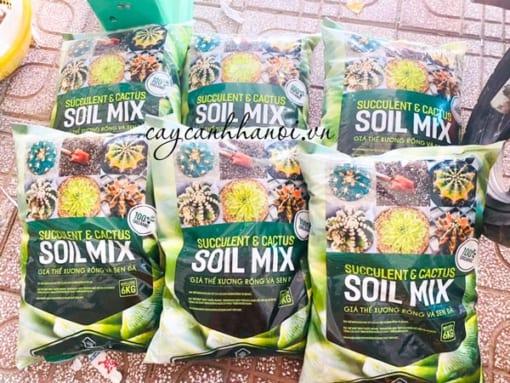 Đất trồng Soil Mix có khả năng thoát nuócc tốt