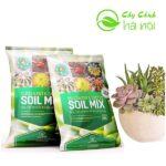 Giá thể Soil Mix Đất Trộn Sẵn Trồng Sen Đá, Xương Rồng