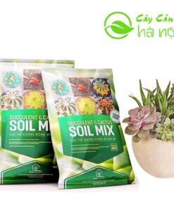 Giá thể Soil Mix dất trộn sẵn trồng sen đá, xương rồng