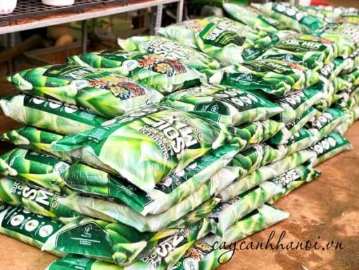 Nơi cung cấp giá thể Soil Mix tại Hà Nội