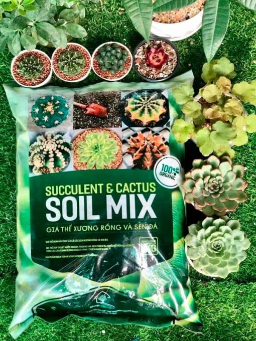 Soil Mix đảm bảo độ dinh dưỡng vừa đủ cho cây