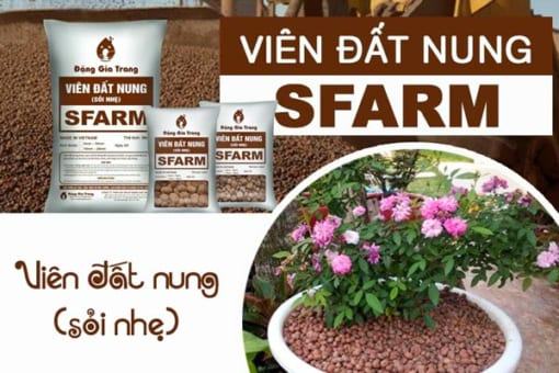 Viên đất nung sỏi nhẹ Đặng Gia Trang