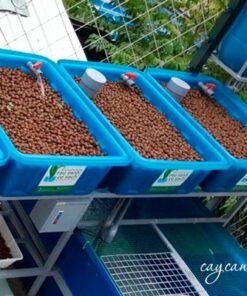 Viên đất nung sử dụng cho hệ thống Aquaponics