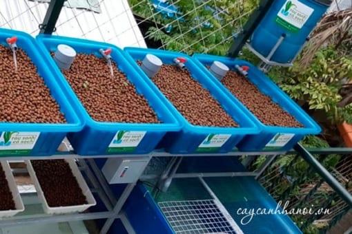 Viên đất nung sử dụng cho hệ thống Aquaponics