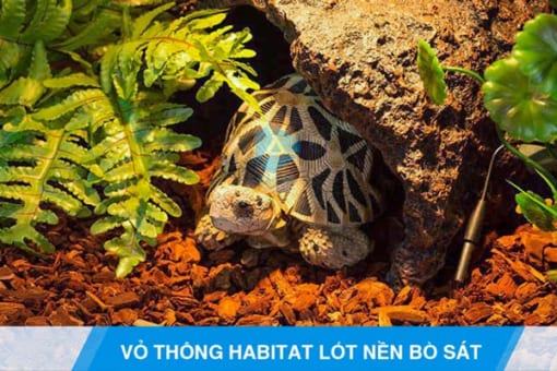 Vỏ thông Habitat lót nền bò sát