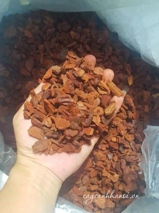 Vỏ thông Eco bark có xuất xứ từ Bồ Đào Nha