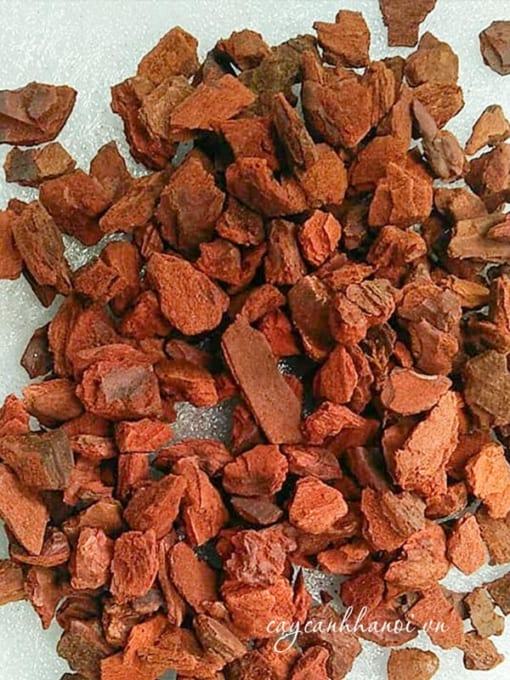 Vỏ thông Eco Bark được quản lý từ nguyên liệu đầu vào