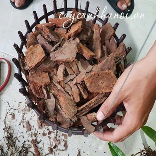 Vỏ thông Eco bark giữ ẩm tốt