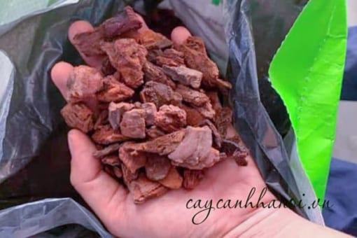 Vỏ thông EcoBark có khả năng tái sử dụng nhiều lần