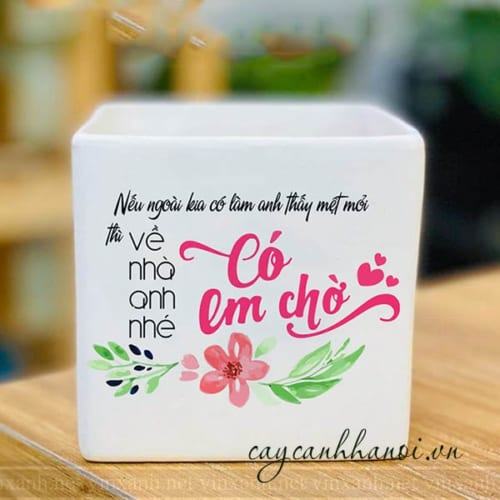 Chậu cây cảnh với slogan có em chờ