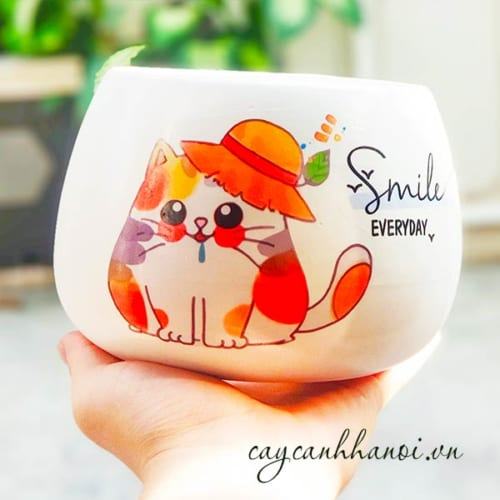 Chậu cây cảnh với slogan Cat-smile everyday