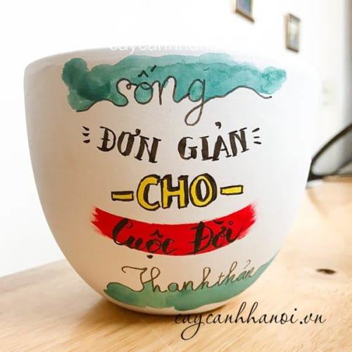 Chậu cây cảnh với slogan đơn giản cho cuộc đời thanh thản