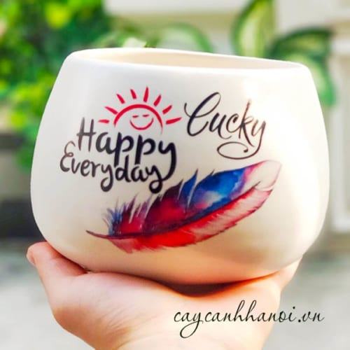 Chậu cây cảnh với slogan Happy-lucky every day