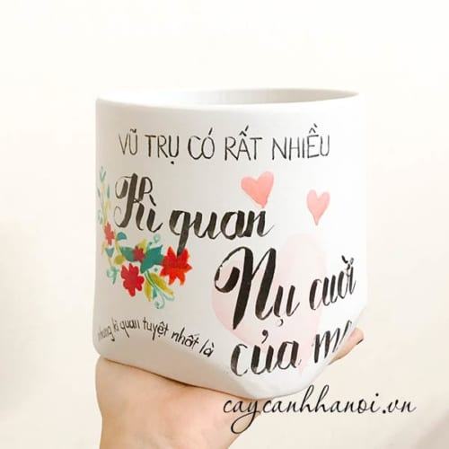 Chậu cây cảnh với slogan vũ trụ có rất nhiều kì quan