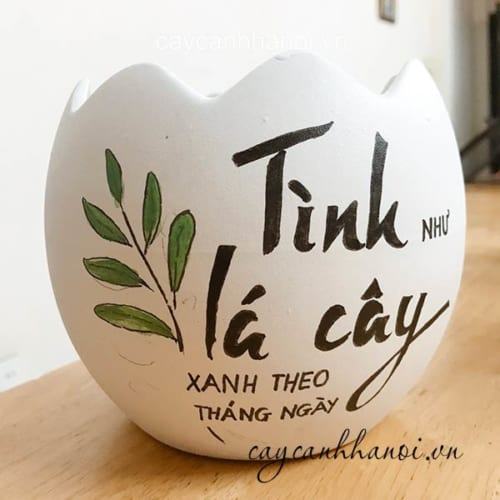 Chậu cây cảnh với slogan tình như lá cây