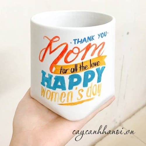 Chậu cây cảnh với slogan thank you mom