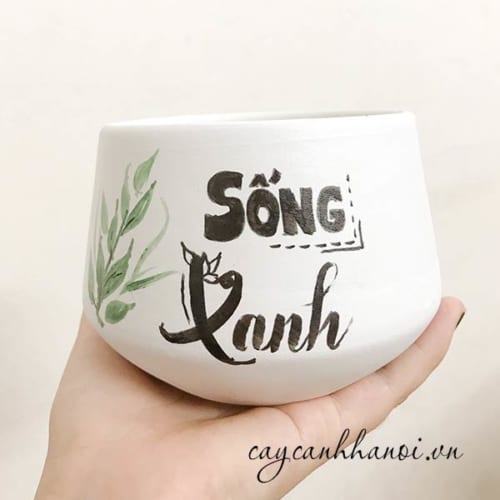 Chậu cây cảnh với slogan sống xanh