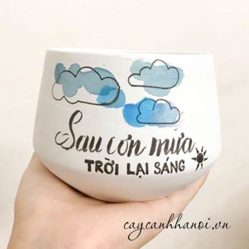 Chậu cây cảnh với slogan sau cơn mưa trời lại sáng