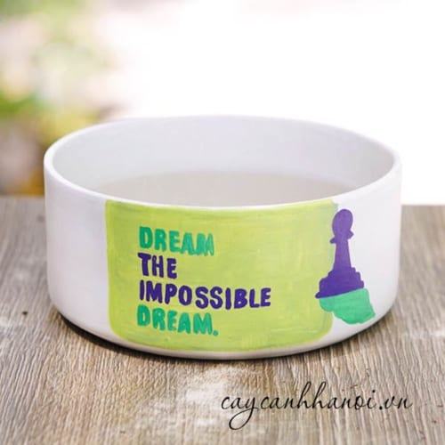 Chậu cây cảnh với slogan dream