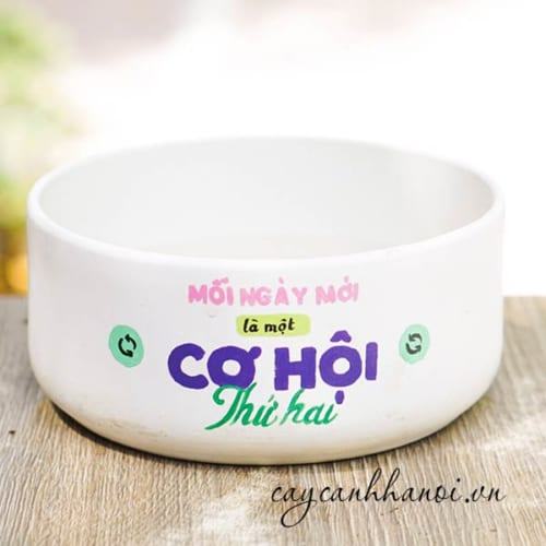 Chậu cây cảnh với slogan mỗi ngày mới là một cơ hội