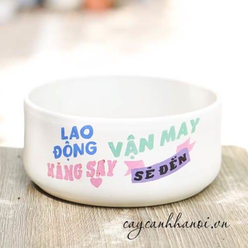 Chậu cây cảnh với slogan lao động hăng say vận may sẽ đến