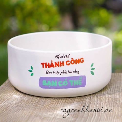 Chậu cây cảnh với slogan thành công bạn cố thể