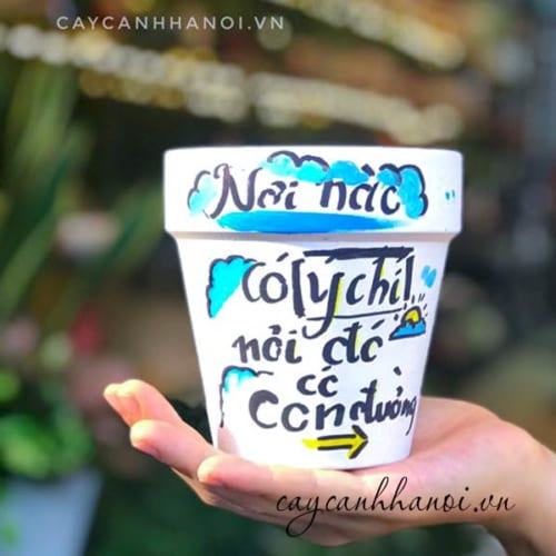 Chậu cây cảnh với slogan về ý chí vươn lên