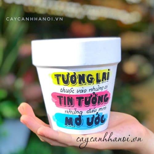 Chậu cây cảnh với slogan về tương lai