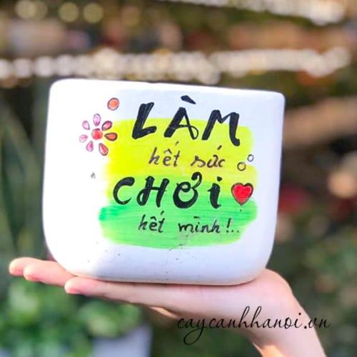 Chậu cây cảnh với slogan làm hết sức chơi hết mình