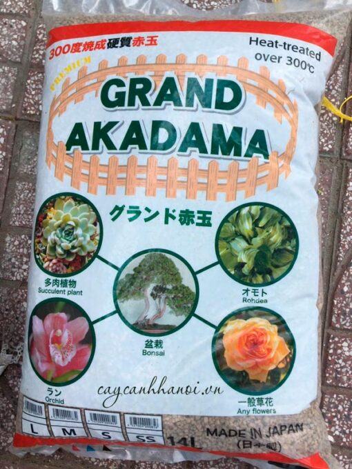 Grand Akadama