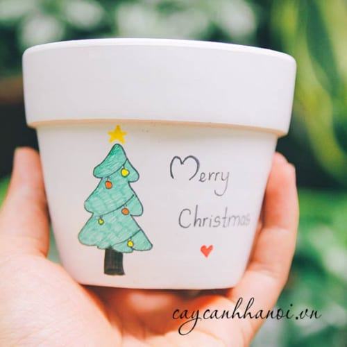 Chậu vẻ hình cây thông noel