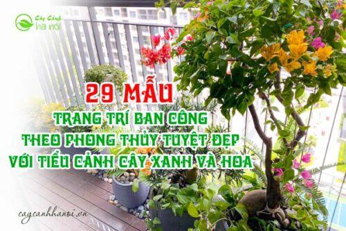 Mẫu Trang Trí Ban Công Theo Phong Thủy Tuyệt Đẹp với tiểu cảnh cây xanh và hoa