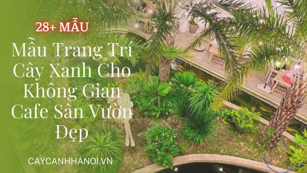 Mẫu trang trí cây xanh cho không gian Cafe sân vườn đẹp