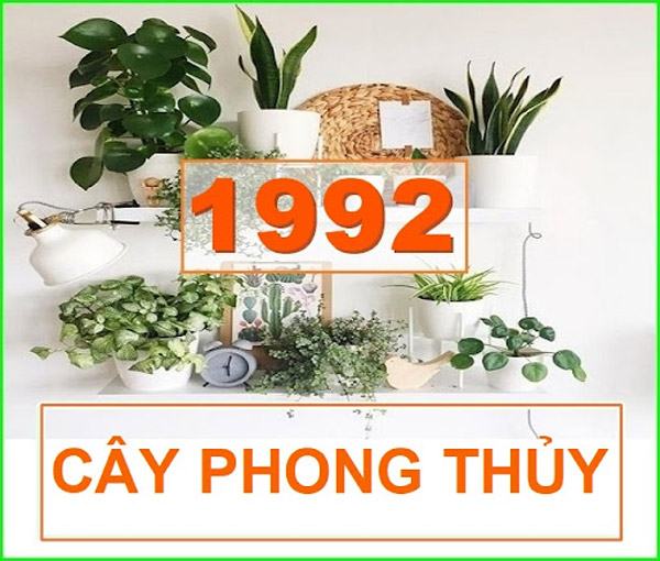 Cây cảnh hợp tuổi nhâm thân sinh năm 1992