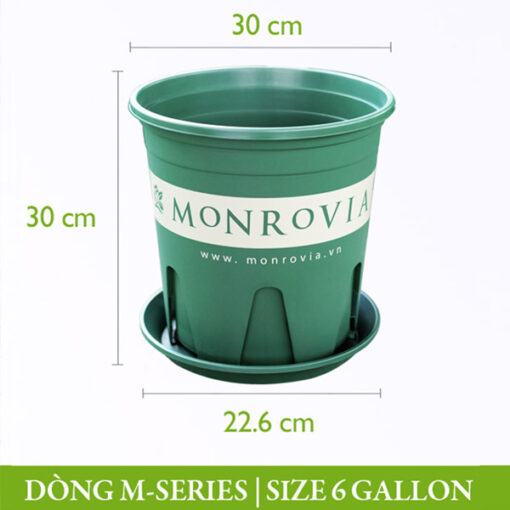 Chậu nhựa Monrovia dòng M-series size 6gl (gallon)